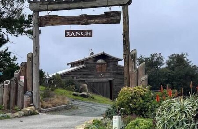 Eagles landing