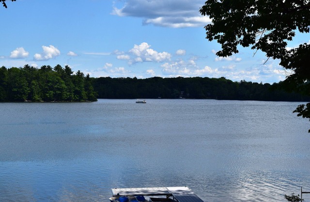 The Bass Lake Lodge - ¡Reserva para el verano de 2020!