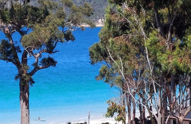 The Beach Box at Big Roaring Beach Tasmania