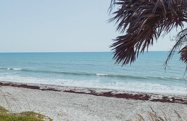 The Beach Bungalow