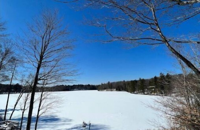 The Bears Den- Sleeping Bear Resort in Lake Ann Michigan