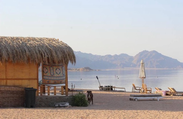 The Bedouin Life with Eid Ali - Two Twin Bed Room