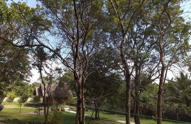 The Bell Farm Eco Resort