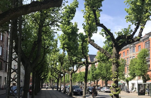 La mejor ubicación de la ciudad con un maravilloso balcón