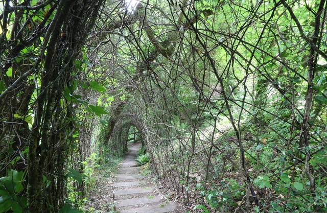 THE BIRD BOX, romantic, character holiday cottage in Okehampton