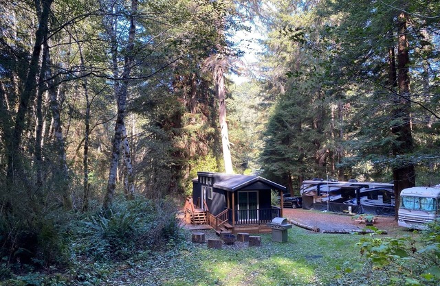 The Black Bear Cabin - 2 bedrooms in the redwoods