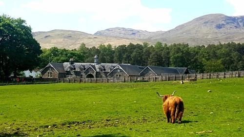 The Bothy, Gallin, Glenlyon, Perthshire
