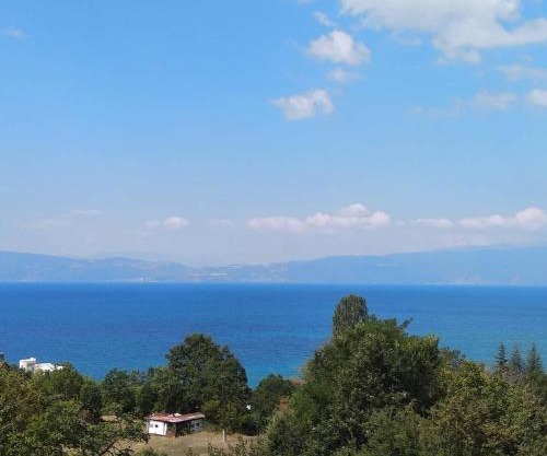The Brothers Villa Hotel