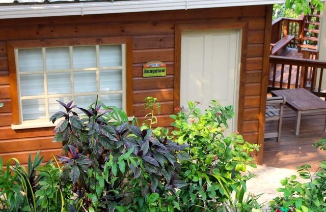 The Bungalow, Comfy Studio