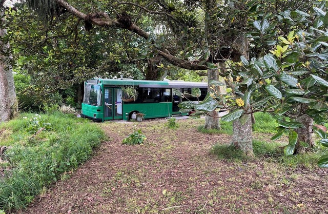 The Bush Bus Nature’s Hideaway Whangarei, Maungatapere