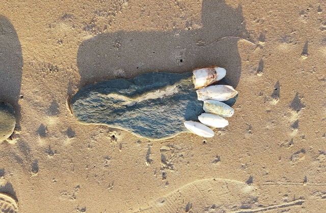 el encanto de Normandia entre mar y campo