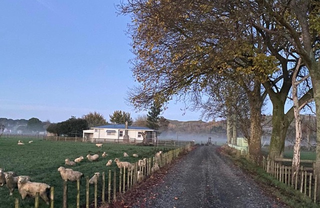 The Cottage @ Aranui