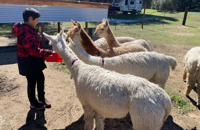 "The Cottage" at Deer Valley Alpaca Farm
