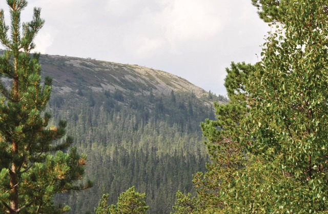 Alojamiento de 3 habitaciones en Sälen