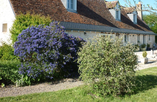 The countryside at the gates of Tours