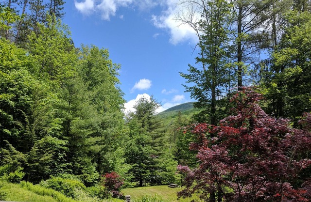 La casa de los arándanos en Catskills