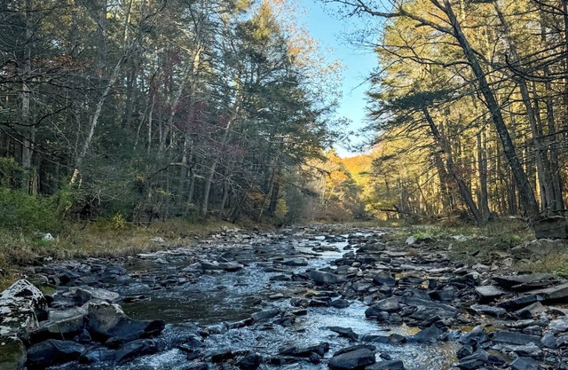The Creek House - Secluded Stay 10min to Woodstock & Saugerties