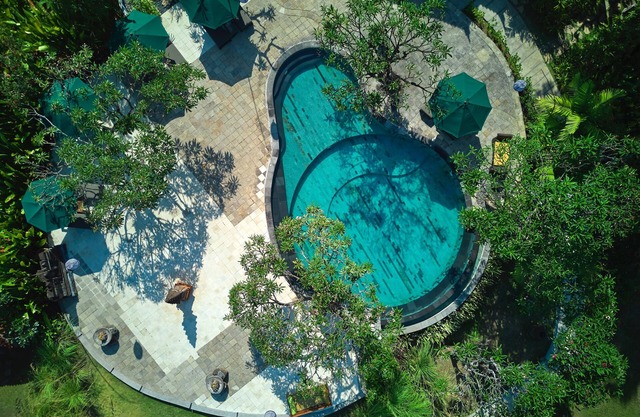 The Damai