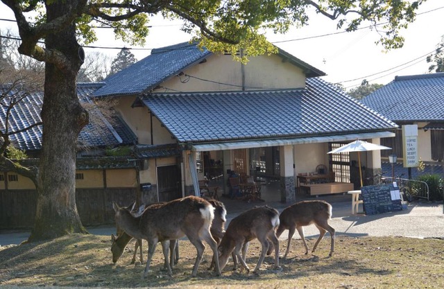 The Deer Park Inn