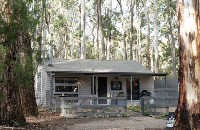 The Duckling, tucked among the towering gum trees