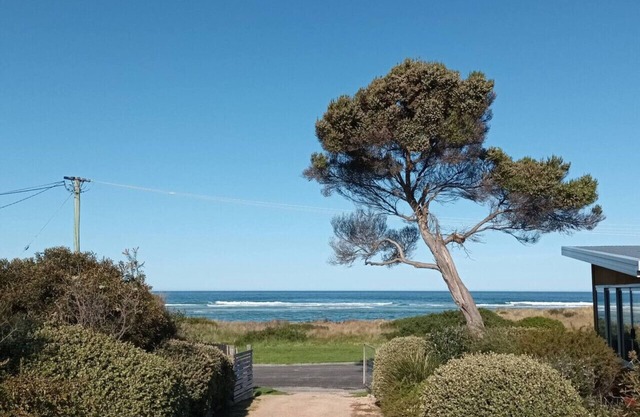 The Dunes - King Studio - 50m from Scamander Beach