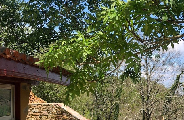 The Erdikoborda sheepfold, in the heart of the Basque Country
