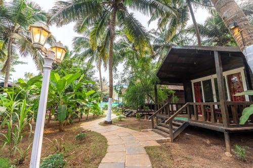 The Exotica Agonda