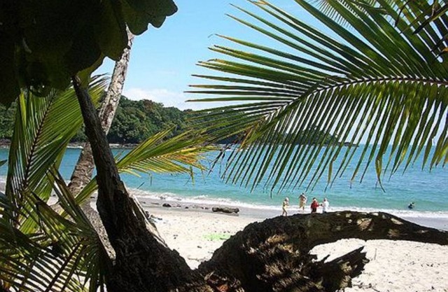 The Falls Resort at Manuel Antonio