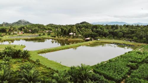 The Farm