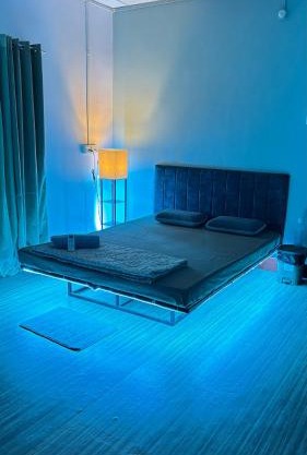 The Fern Nest Homestay