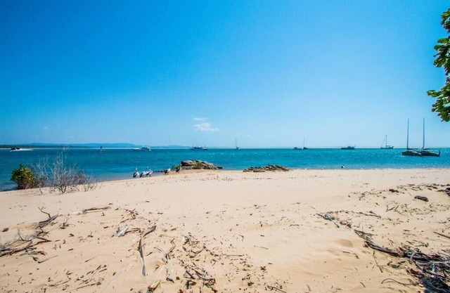 The Gallery - Fabulous Holiday House - situated right on the esplanade overlooking the Bay at 1770