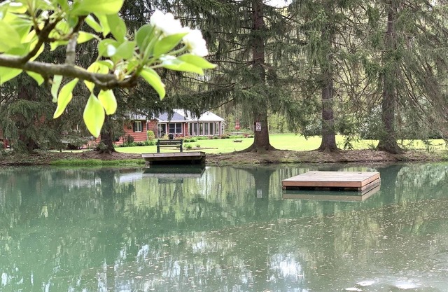 The Game Cabin en Rustic River Retreats: ¡una escapada divertida a los viñedos!