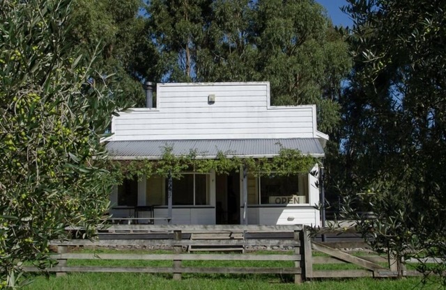 The General Store - situado en un olivar