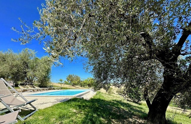 Casa de campo histórica con piscina, barbacoa, gimnasio, olivar en Senigallia - il Girasole