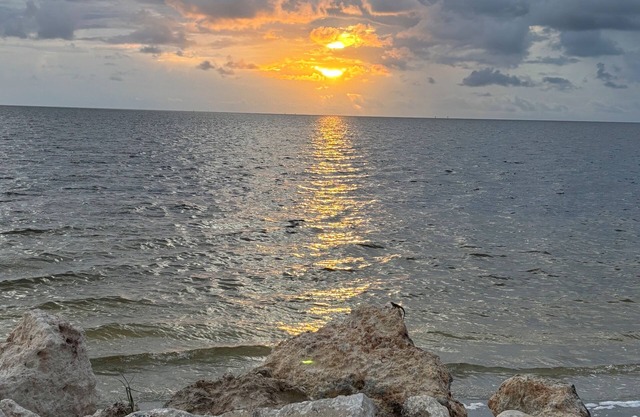 Charming Golden Pelican: Waterfront Bliss in Sunny Florida