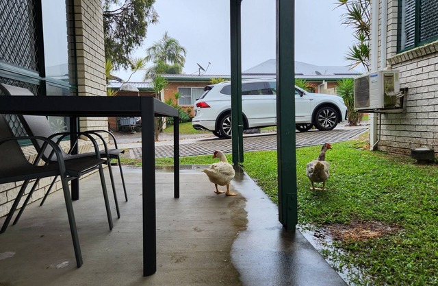 The Goose Pond - 2br, 1.5bth, Aircon throughout.
