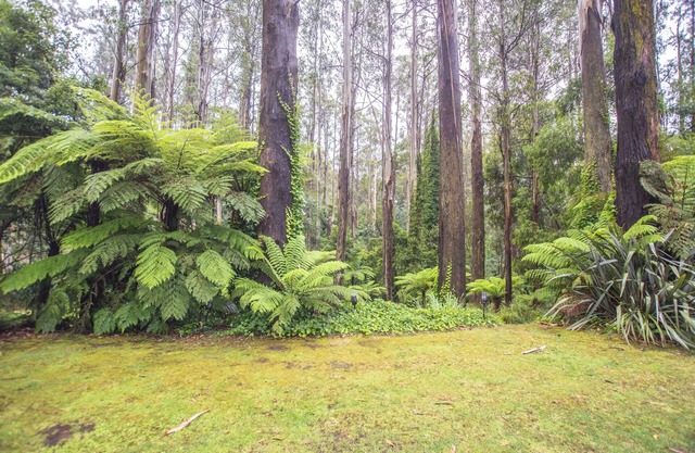 The Grand Lodge: Private rainforest with river