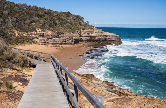 The GRAPEViNE - Bouddi National Park