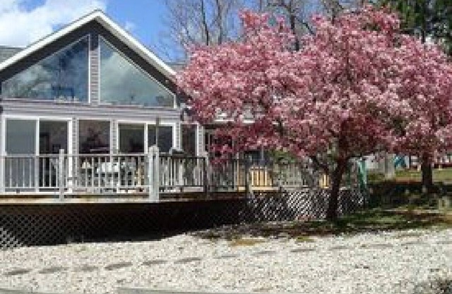 The Gray Escape Steps away from Lake Margrethe