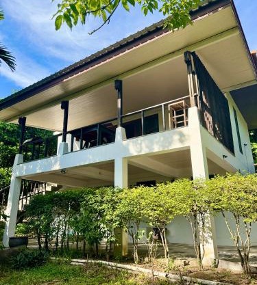 The Green Palm