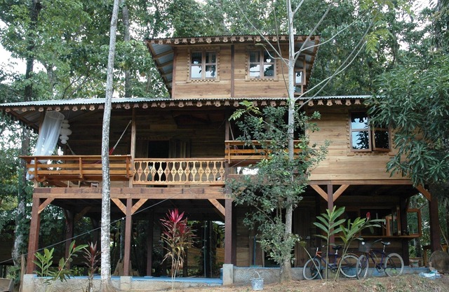 La casa está en el medio de la selva y a 5 minutos andando de la playa