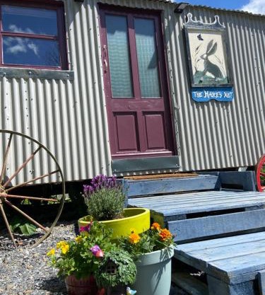 The Hares Hut at Carrigeen Glamping