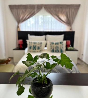 The Herby Taylor Guest House