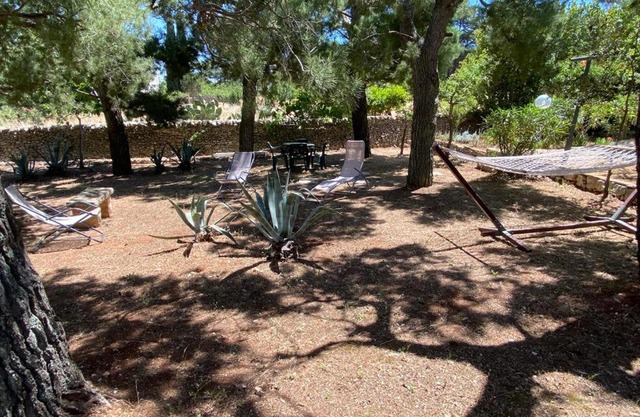 The hidden trullo of la Selva di Fasano