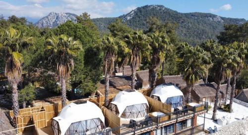 The Hill Glamping Çıralı