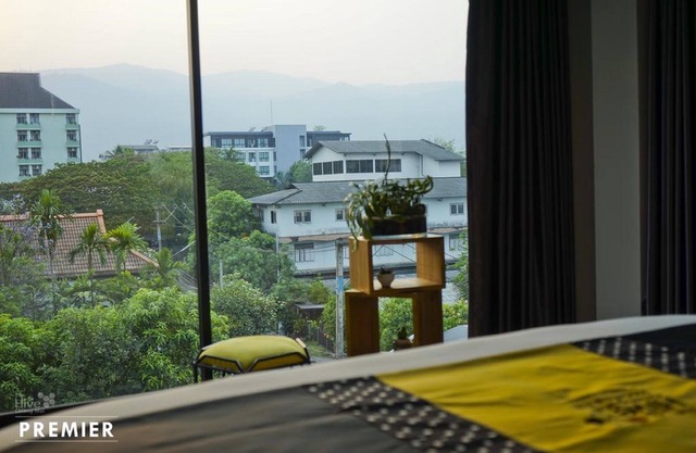 The Hive Chiang Mai