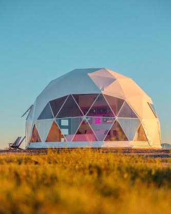 The Hive