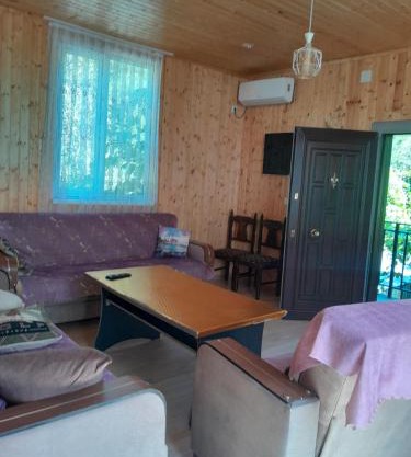The hotel in willege