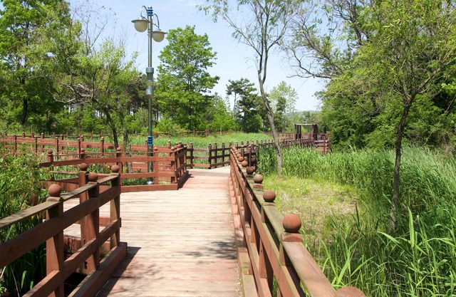 The Hotel Yeong Jong