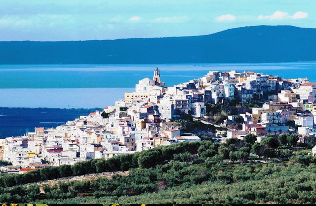 The House of Bel See
